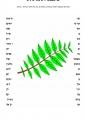 דף עבודה - טו בשבט - פיצול מילים 3