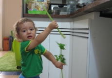 תזונה בחופש הגדול - הזדמנות!