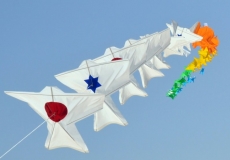 קיץ חם במוזיאוני חיפה