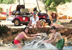 סיור לילי הכולל צפייה בחיות בר וארוחת פויקה