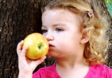 קטיף תפוחים עצמי - סיורים וטעימות לכל המשפחה