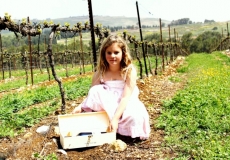 מטמון תיבות היין בגליל