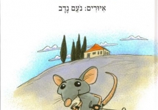 סוכות