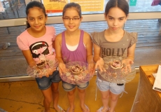 ימי החנוכה בחוות דרך התבלינים בית לחם הגלילית 