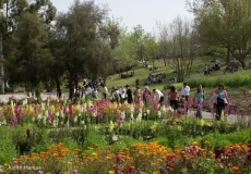 חנוכה בגן הבוטני בירושלים: חפשו את השעון!