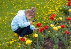 טיול משפחתי עם ילדים בעלי הפרעת קשב וריכוז