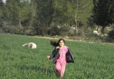 טיפ: קחו לכם חיית מחמד!