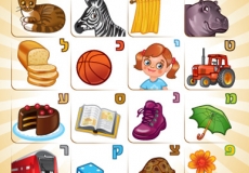 מגנטי - למידה