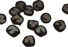 הפלפל הקופץ