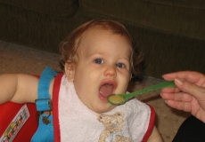 המעבר למזון מוצק