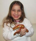 תערוכת חיות הבית 2012