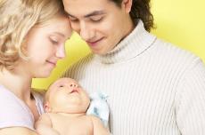 המשפחה כארגון