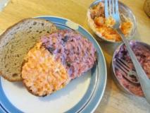 חוזרים לבית הספר עם מגוון ממרחים מקוריים