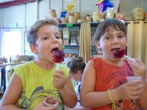 קרטיבים טבעיים מחליטות פירות