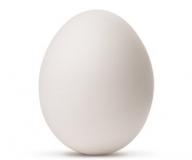 ביצים לא החלטיות