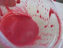 צבע מאכל ביתי וטבעי