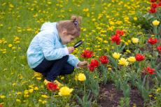 על פריחות ותפרחות