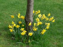 מתכננים חופשה משפחתית בפסח?