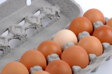 ביצה מכושפת