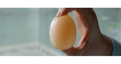 קילוף ביצה יצירתי