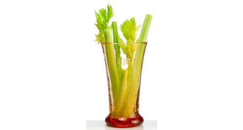 כיצד עץ שותה?