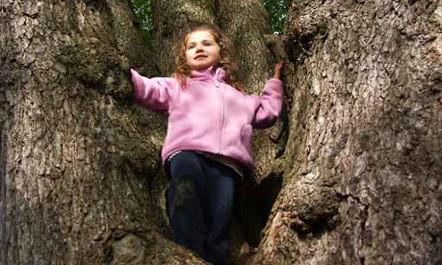 כי האדם עץ השדה