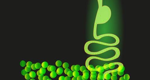 פרוביוטיקה- חיידקים ידידותיים לפעוטות