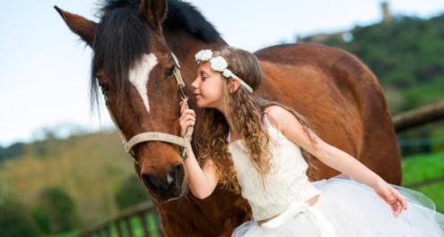 דמיון מודרך – חיית הכוח