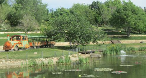 ט"ו בשבט ו"טרום בחירות" בגן הבוטני