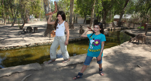 הפנינג פורים לכל המשפחה ב"חוויות ניר דוד"
