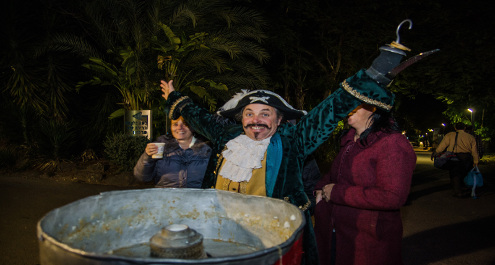 קרנבל פורים בחמת גדר