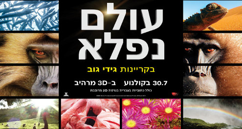 עולם נפלא - גידי גוב באפריקה