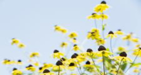 אאאפצי... כנראה שהאביב הגיע