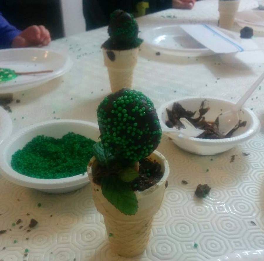 יצירת עץ אכיל לט"ו בשבט