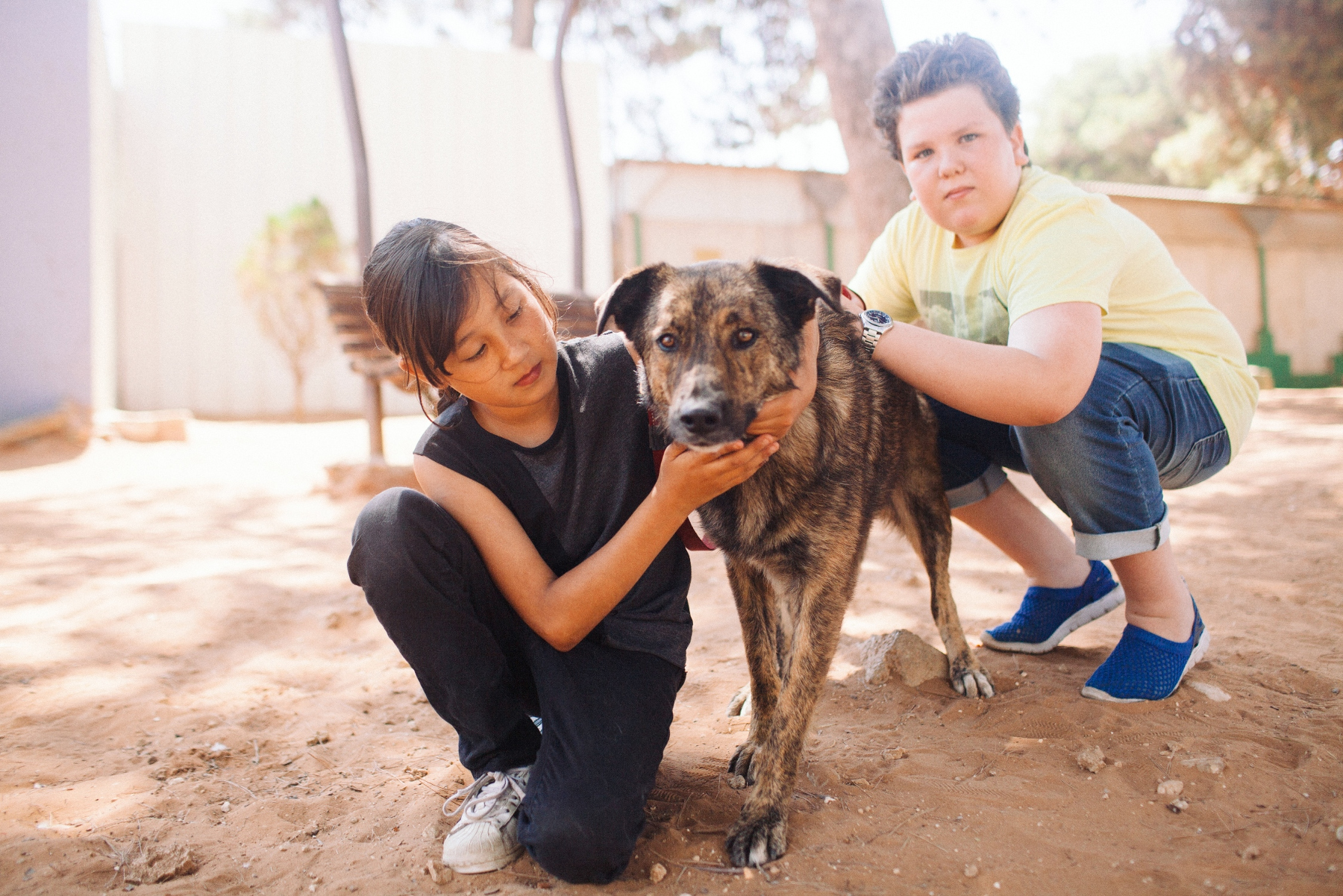הפנינג סוכות של אגודת צער בעלי חיים
