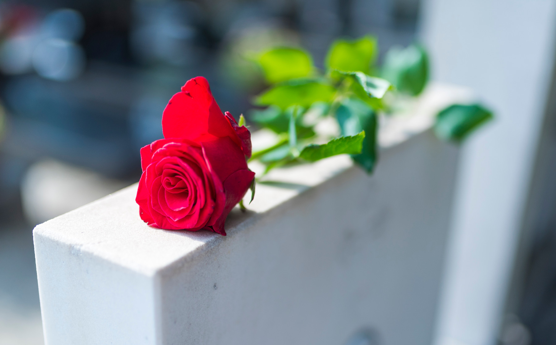 יום הזיכרון בצל נגיף הקורונה