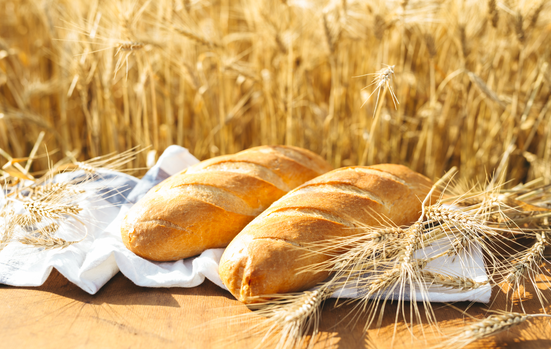 הזדמנויות לפיתוח החשיבה בחג שבועות