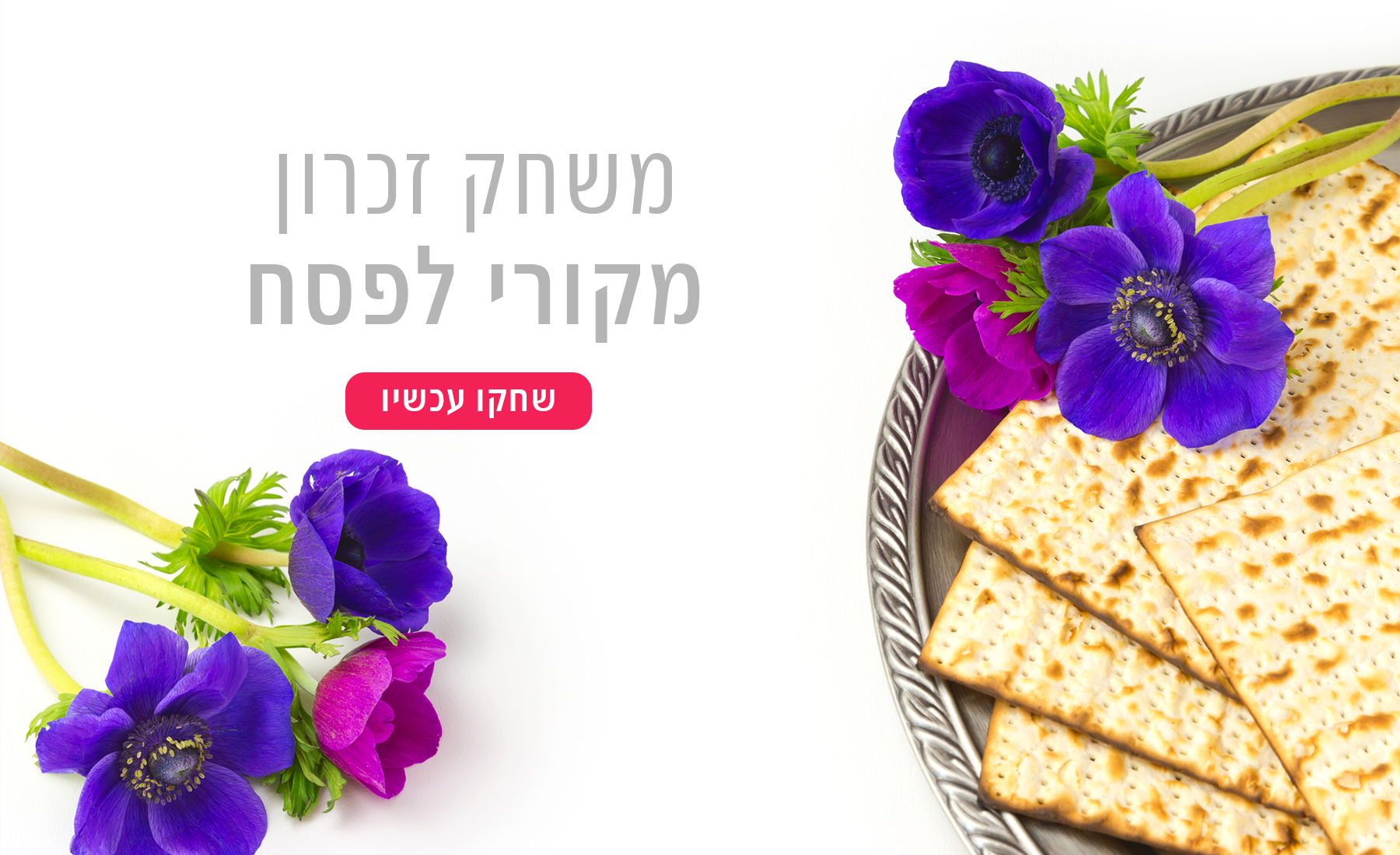 משחק זכרון לפסח