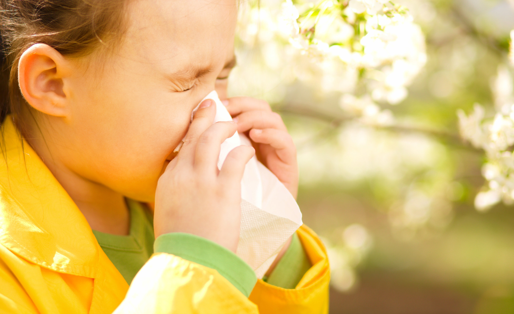 עונת הפריחה והפריחות: האם אתם סובלים מאלרגיה ולא ידעתם?