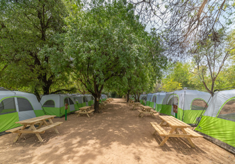 קמפינג עם ילדים בקמפינג מטיילים דפנה
