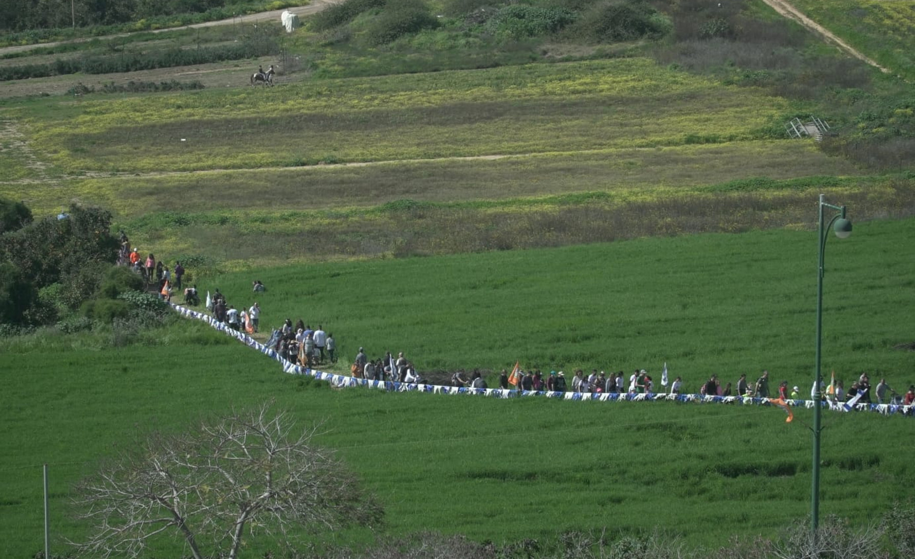 טו בשבט בנס ציונה