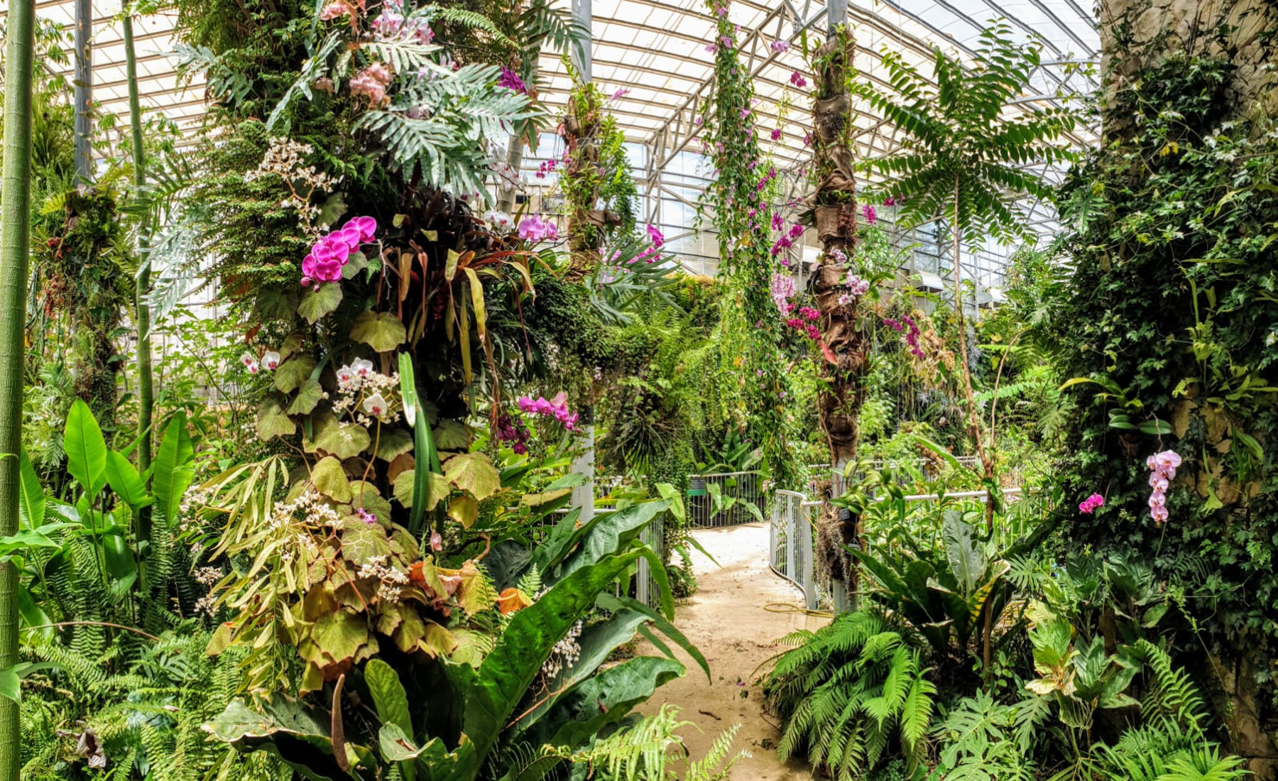 פסח בין הפרחים - ניווט בין שבילי הגן הבוטני