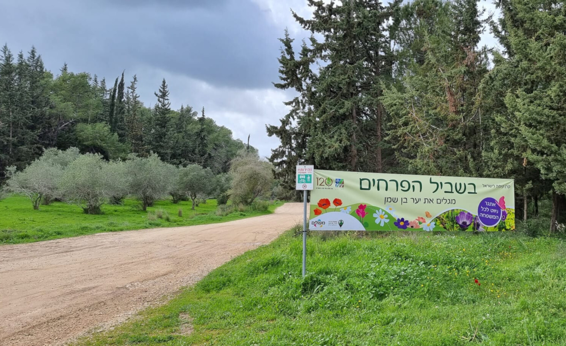 סופשבוע "בשביל הפרחים" – מגלים את יער בן שמן