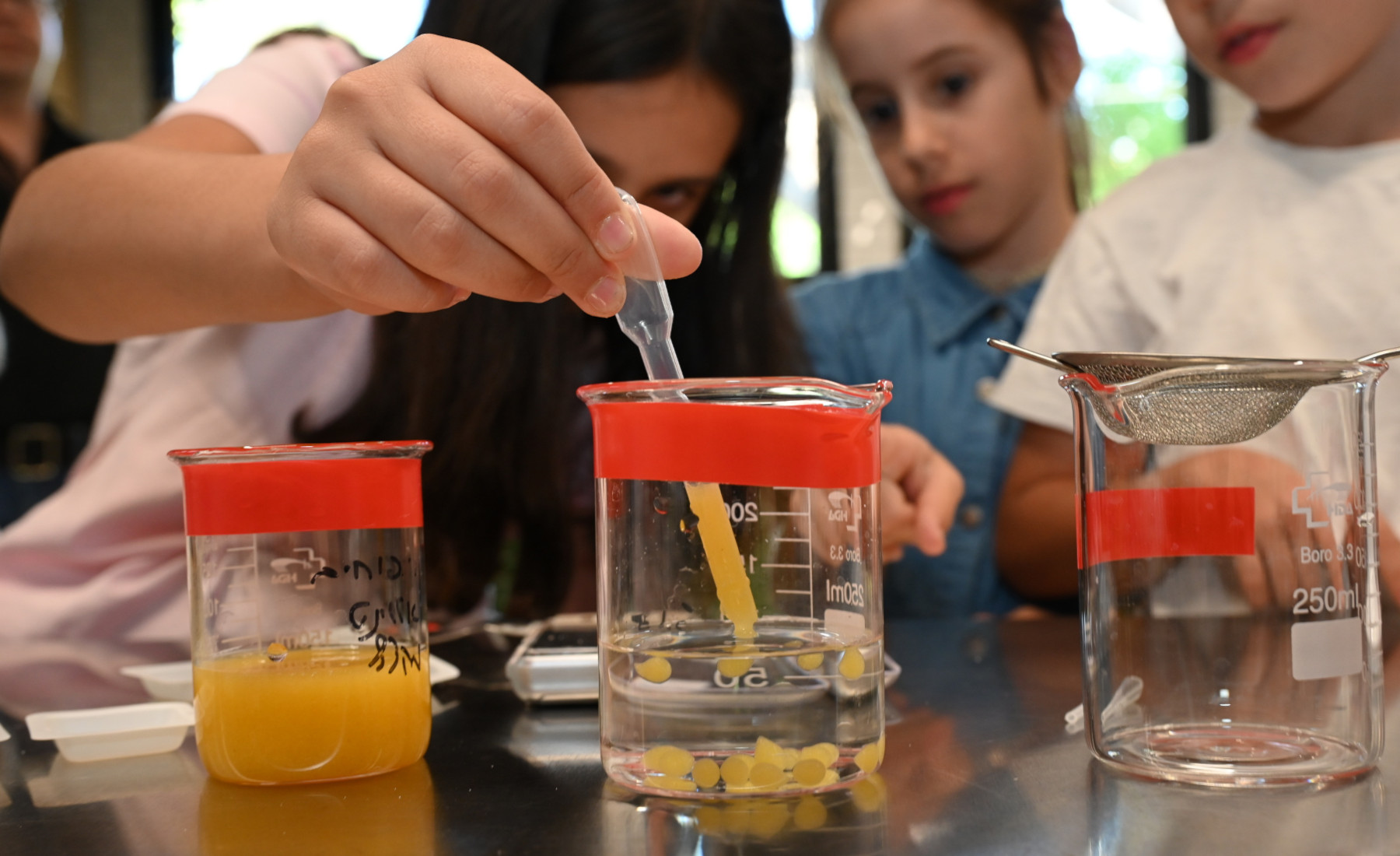 ליל המדענים והמדעניות האירופי בישראל